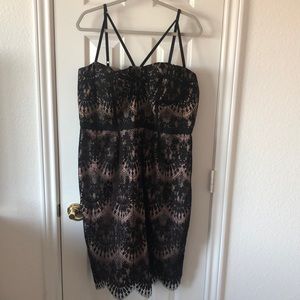 City Chic Black and Tan Lace Midi Dress